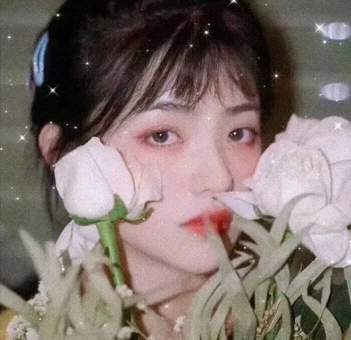 两条尾巴的蝎子